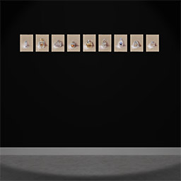 Thumbnail of Body of Work in Virtual Reality