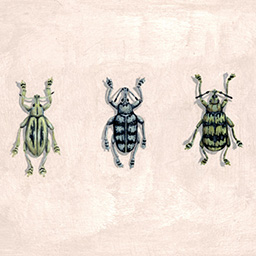 a painting of three beetles
