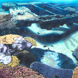 A colourful painting of the underwater view of coral and part of a shipwreck.