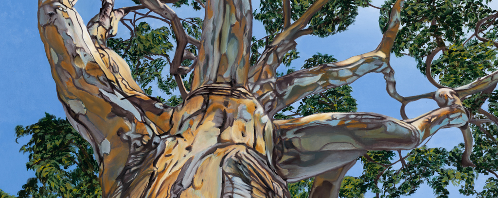 Close up of Body of Work