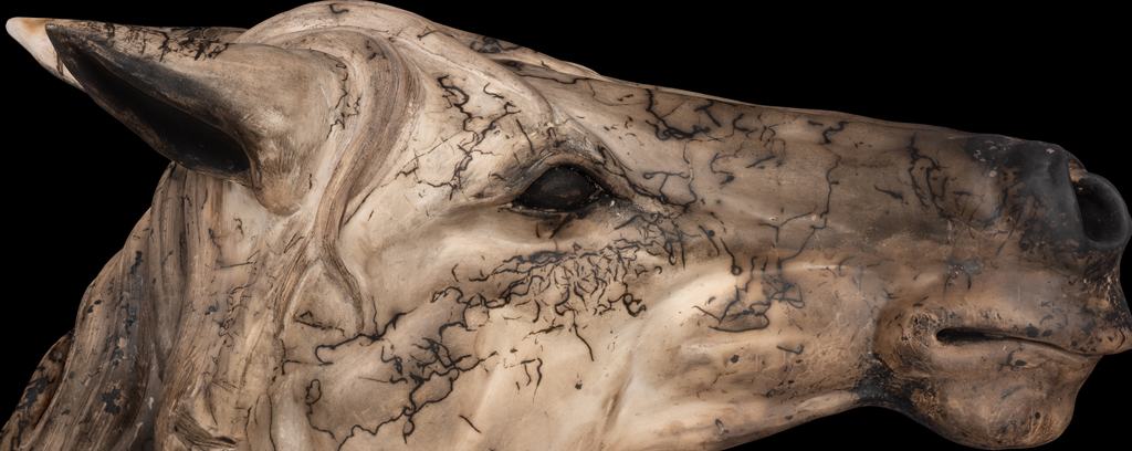 Close up of Body of Work